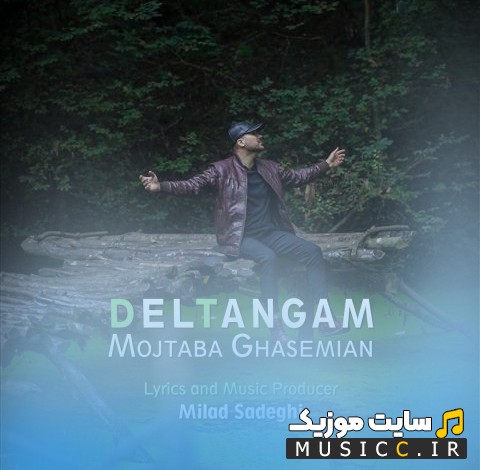 آهنگ جدید دلتنگم با صدای مجتبی قاسمیان «Mojtaba Ghasemian» + کیفیت عالی